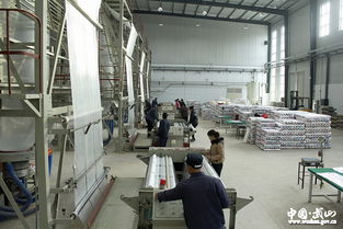 索鴻賓 著力加快蔬菜產(chǎn)業(yè)綠色安全健康發(fā)展